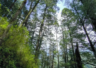 Parque Nacional Lagunas de Zempoala