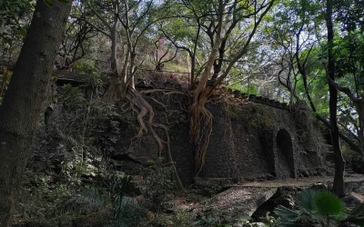 Parque Estatal Urbano Barranca de Chapultepec