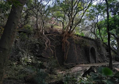 Parque Estatal Urbano Barranca de Chapultepec