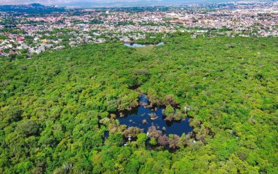 Diagnóstico y plan estratégico de acción turística comunitaria en el Parque Estatal El Texcal