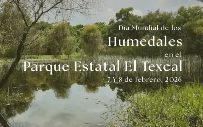 Día Mundial de los Humedales Parque Estatal El Texcal