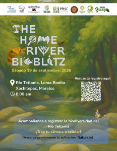 Convocatoria