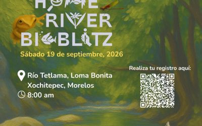 The Home River BioBlitz 2026